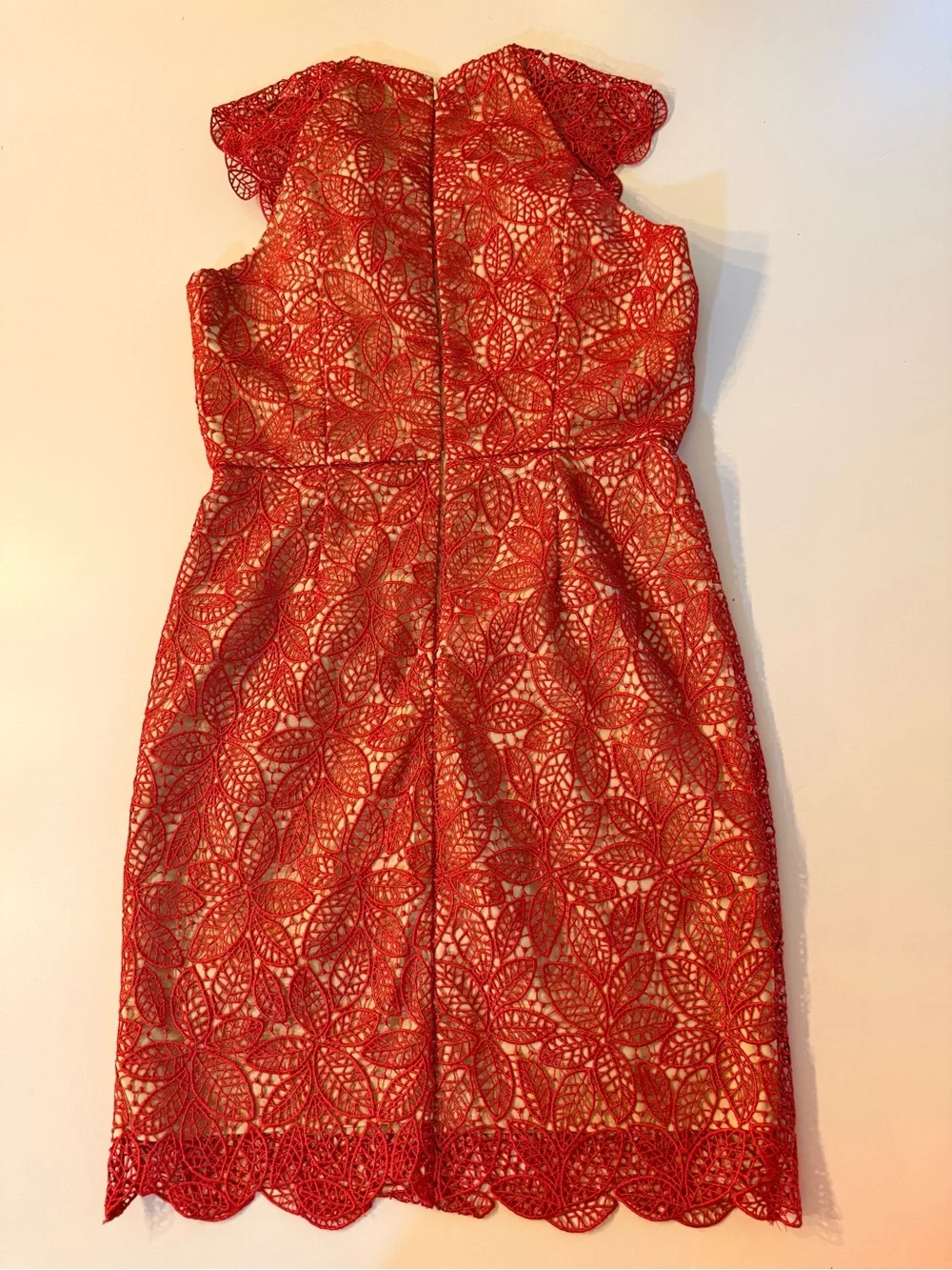Red Lace Fit & Flare Dress - Brand: